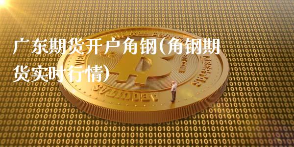 广东期货开户角钢(角钢期货实时行情)_https://www.yunyouns.com_期货行情_第1张