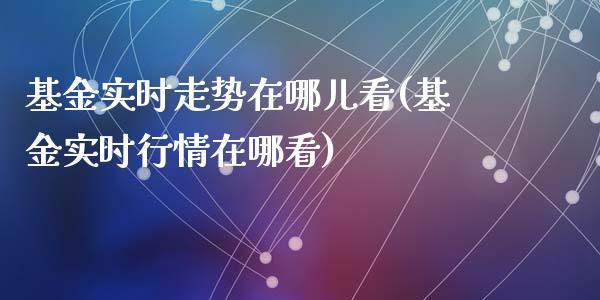 基金实时走势在哪儿看(基金实时行情在哪看)_https://www.yunyouns.com_期货直播_第1张