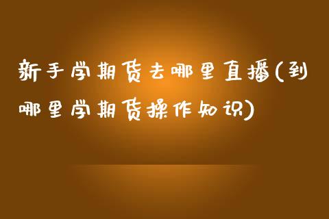 新手学期货去哪里直播(到哪里学期货操作知识)_https://www.yunyouns.com_期货直播_第1张