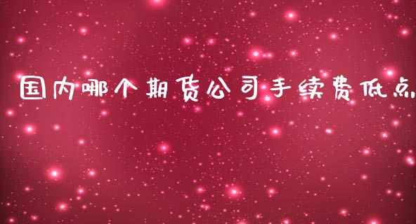 国内哪个期货公司手续费低点_https://www.yunyouns.com_期货直播_第1张