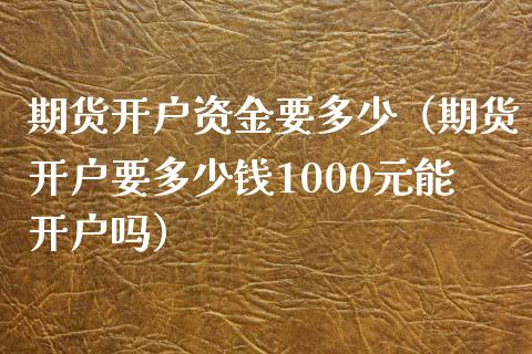 期货开户资金要多少（期货开户要多少钱1000元能开户吗）_https://www.yunyouns.com_期货直播_第1张