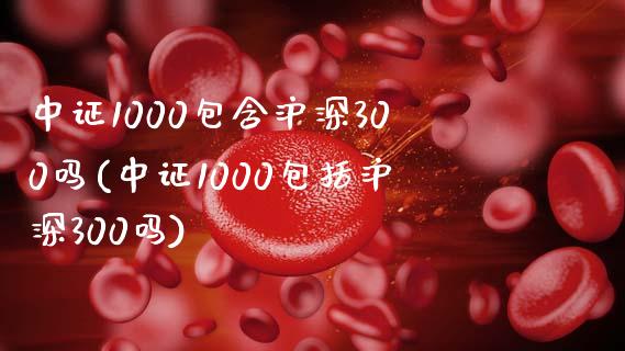 中证1000包含沪深300吗(中证1000包括沪深300吗)_https://www.yunyouns.com_期货直播_第1张