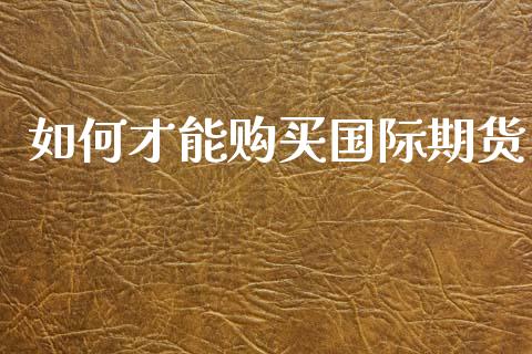 如何才能购买国际期货_https://www.yunyouns.com_恒生指数_第1张