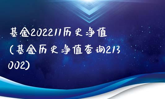 基金202211历史净值(基金历史净值查询213002)_https://www.yunyouns.com_股指期货_第1张