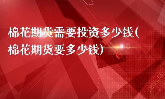 棉花期货需要投资多少钱(棉花期货要多少钱)_https://www.yunyouns.com_期货行情_第1张