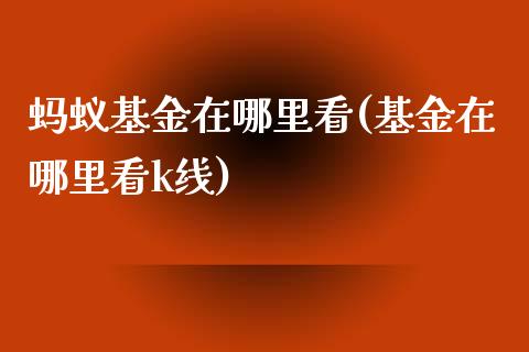 蚂蚁基金在哪里看(基金在哪里看k线)_https://www.yunyouns.com_恒生指数_第1张