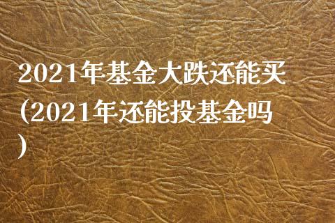 2021年基金大跌还能买(2021年还能投基金吗)_https://www.yunyouns.com_期货直播_第1张