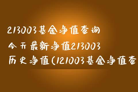 213003基金净值查询今天最新净值213003历史净值(121003基金净值查询今天最新净值)_https://www.yunyouns.com_期货行情_第1张