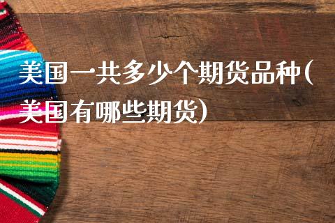 美国一共多少个期货品种(美国有哪些期货)_https://www.yunyouns.com_股指期货_第1张