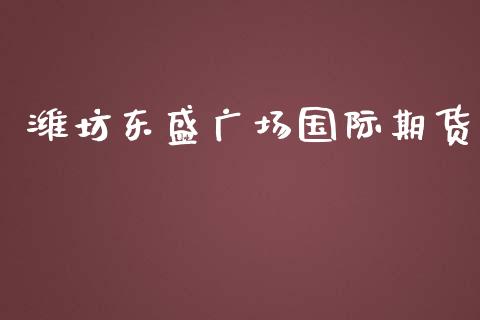 潍坊东盛广场国际期货_https://www.yunyouns.com_股指期货_第1张