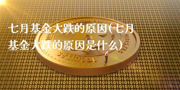 七月基金大跌的原因(七月基金大跌的原因是什么)_https://www.yunyouns.com_股指期货_第1张