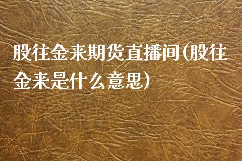 股往金来期货直播间(股往金来是什么意思)_https://www.yunyouns.com_期货直播_第1张