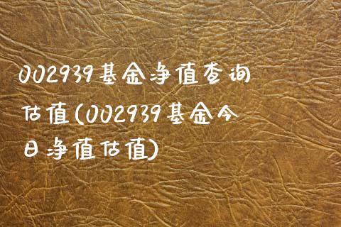 002939基金净值查询估值(002939基金今日净值估值)_https://www.yunyouns.com_恒生指数_第1张