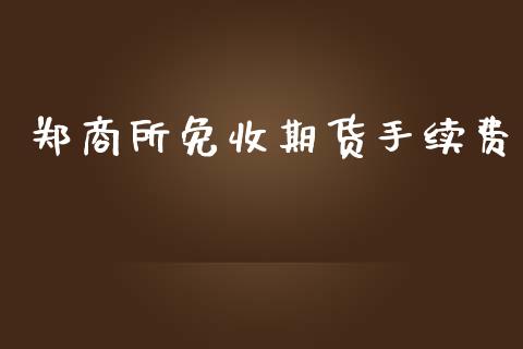 郑商所免收期货手续费_https://www.yunyouns.com_恒生指数_第1张