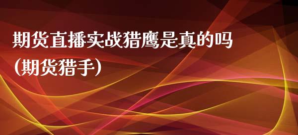 期货直播实战猎鹰是真的吗(期货猎手)_https://www.yunyouns.com_股指期货_第1张