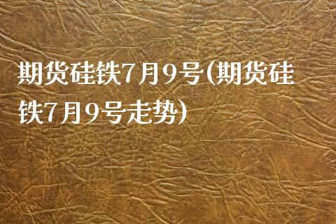 期货硅铁7月9号(期货硅铁7月9号走势)_https://www.yunyouns.com_期货直播_第1张