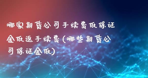 哪家期货公司手续费低保证金低返手续费(哪些期货公司保证金低)_https://www.yunyouns.com_股指期货_第1张