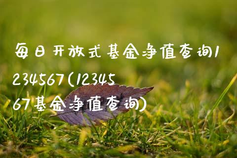 每日开放式基金净值查询1234567(1234567基金净值查询)_https://www.yunyouns.com_期货行情_第1张