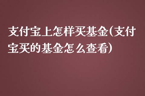 支付宝上怎样买基金(支付宝买的基金怎么查看)_https://www.yunyouns.com_股指期货_第1张