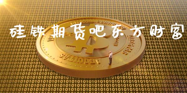 硅铁期货吧东方财富_https://www.yunyouns.com_期货直播_第1张