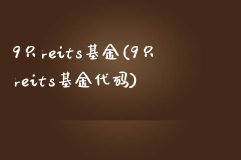 9只reits基金(9只reits基金代码)_https://www.yunyouns.com_期货行情_第1张