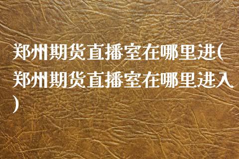 郑州期货直播室在哪里进(郑州期货直播室在哪里进入)_https://www.yunyouns.com_股指期货_第1张