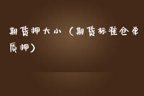 期货押大小（期货标准仓单质押）_https://www.yunyouns.com_期货直播_第1张