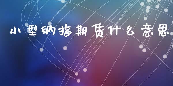 小型纳指期货什么意思_https://www.yunyouns.com_股指期货_第1张