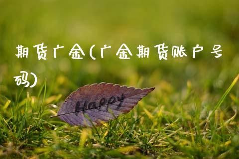 期货广金(广金期货账户号码)_https://www.yunyouns.com_期货行情_第1张