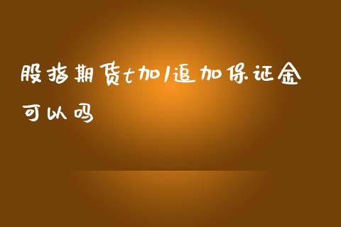 股指期货t加1追加保证金可以吗_https://www.yunyouns.com_股指期货_第1张