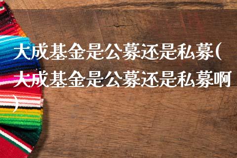 大成基金是公募还是私募(大成基金是公募还是私募啊)_https://www.yunyouns.com_股指期货_第1张