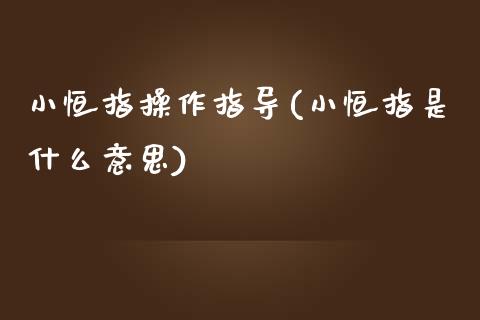 小恒指操作指导(小恒指是什么意思)_https://www.yunyouns.com_期货行情_第1张