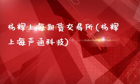 杨辉上海期货交易所(杨辉上海声通科技)_https://www.yunyouns.com_股指期货_第1张