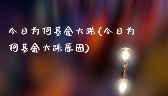 今日为何基金大跌(今日为何基金大跌原因)_https://www.yunyouns.com_股指期货_第1张