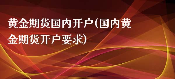 黄金期货国内开户(国内黄金期货开户要求)_https://www.yunyouns.com_恒生指数_第1张