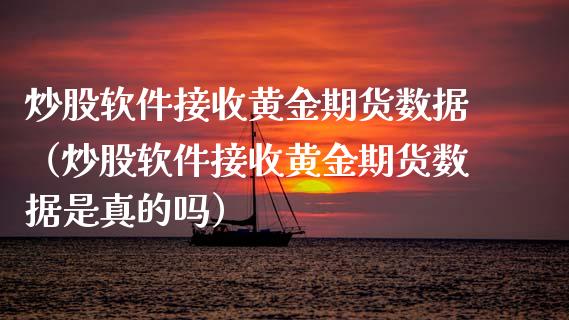 炒股软件接收黄金期货数据（炒股软件接收黄金期货数据是真的吗）_https://www.yunyouns.com_恒生指数_第1张