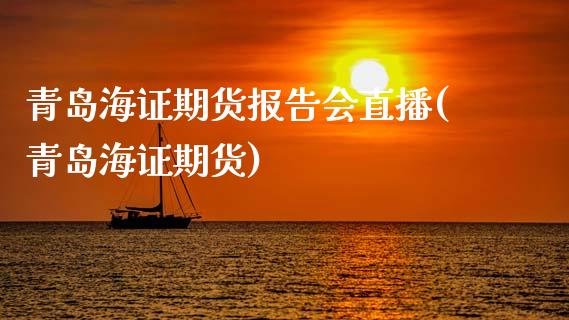 青岛海证期货报告会直播(青岛海证期货)_https://www.yunyouns.com_股指期货_第1张