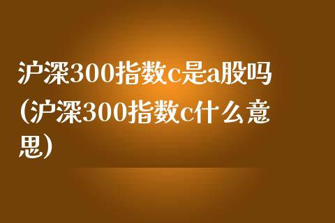 沪深300指数c是a股吗(沪深300指数c什么意思)_https://www.yunyouns.com_期货直播_第1张