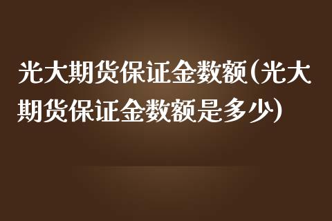 光大期货保证金数额(光大期货保证金数额是多少)_https://www.yunyouns.com_股指期货_第1张