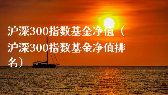 沪深300指数基金净值（沪深300指数基金净值排名）_https://www.yunyouns.com_期货直播_第1张