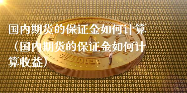 国内期货的保证金如何计算（国内期货的保证金如何计算收益）_https://www.yunyouns.com_恒生指数_第1张