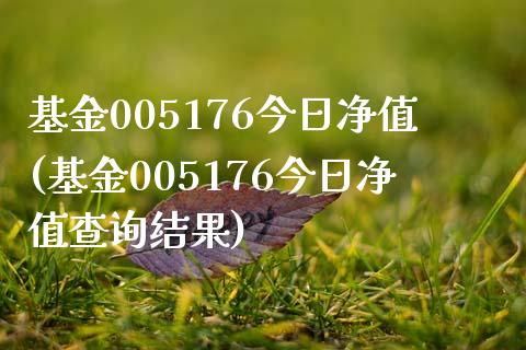 基金005176今日净值(基金005176今日净值查询结果)_https://www.yunyouns.com_恒生指数_第1张