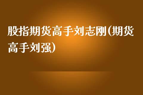 股指期货高手刘志刚(期货高手刘强)_https://www.yunyouns.com_期货行情_第1张