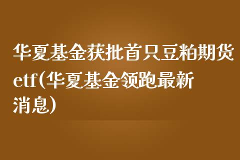 华夏基金获批首只豆粕期货etf(华夏基金领跑最新消息)_https://www.yunyouns.com_期货直播_第1张