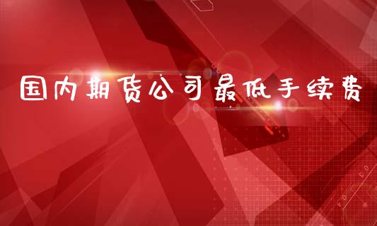 国内期货公司最低手续费_https://www.yunyouns.com_期货直播_第1张