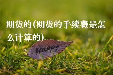 期货的(期货的手续费是怎么计算的)_https://www.yunyouns.com_股指期货_第1张