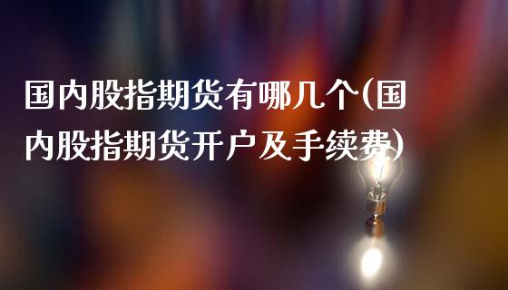 国内股指期货有哪几个(国内股指期货开户及手续费)_https://www.yunyouns.com_股指期货_第1张