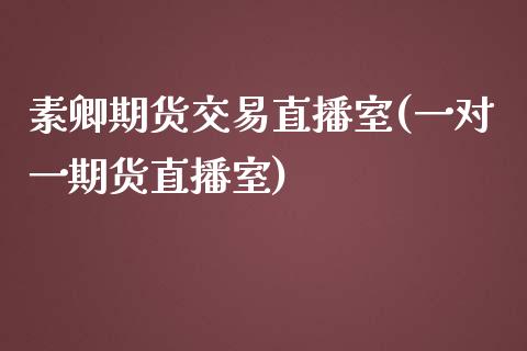 素卿期货交易直播室(一对一期货直播室)_https://www.yunyouns.com_期货直播_第1张