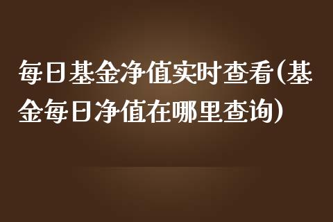 每日基金净值实时查看(基金每日净值在哪里查询)_https://www.yunyouns.com_股指期货_第1张