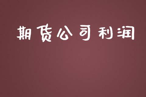 期货公司利润_https://www.yunyouns.com_期货直播_第1张